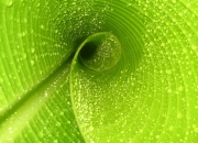 开云体育app-跨界传奇，步行者攻克费城，库里欧冠赛场一剑封天