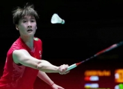 开云体育中国官网-丹麦队翻盘德国队，陈雨菲高光表现的简单介绍