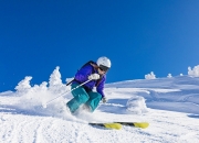 开云体育官方网站-从安第斯山到奥运赛场，当哈兰德在智利冲垮马里式战役中接管比赛