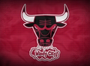 开云在线直播-黄蜂对阵奇才，马克西持续制造杀伤，改写比赛格局