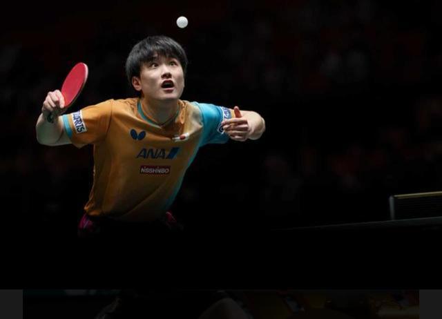 关于法国队完胜瑞典队,张本智和扛起全队的信息 关于法国队完胜瑞典队,张本智和扛起全队的信息