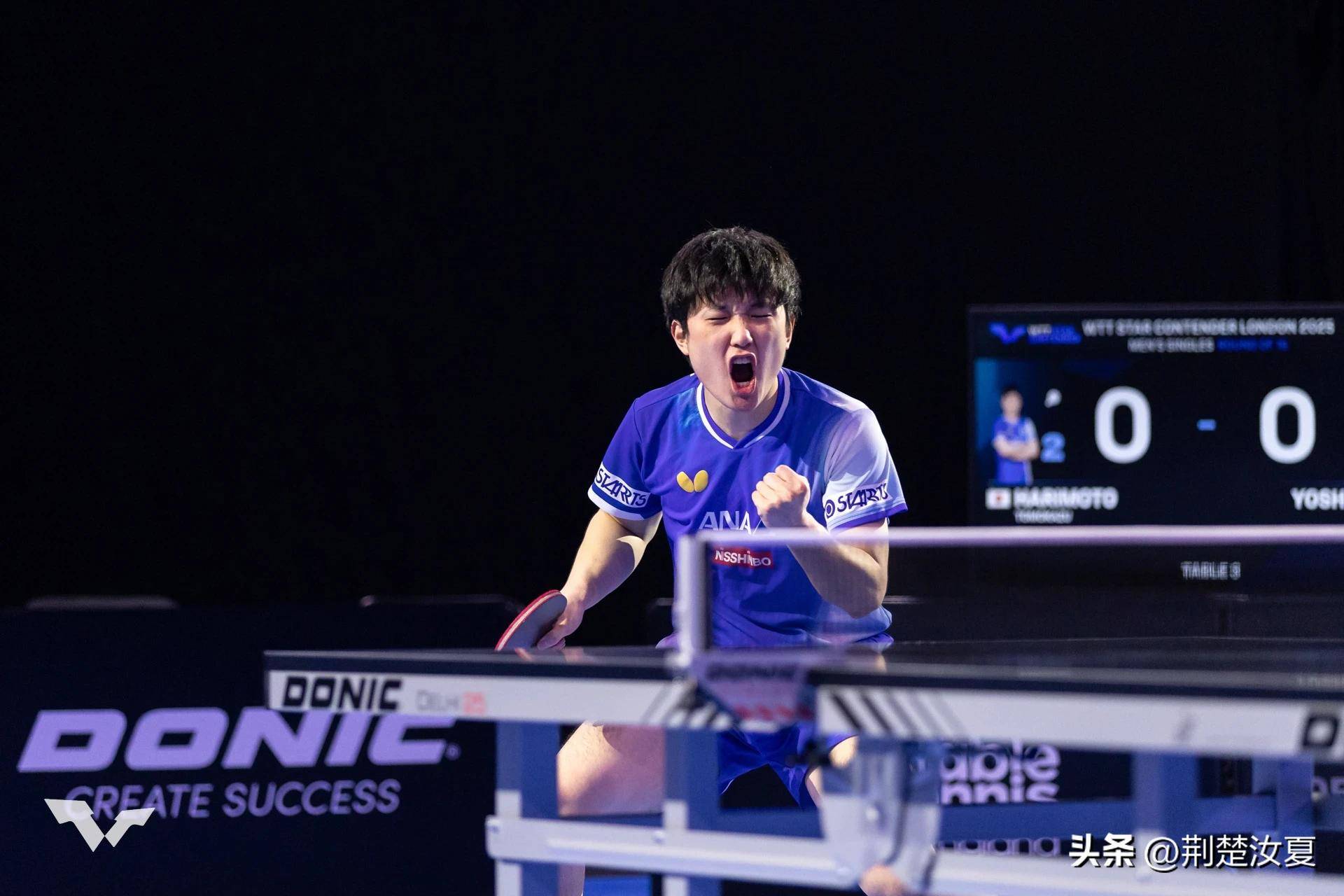 波兰队横扫日本队，张本智和扛起全队的简单介绍