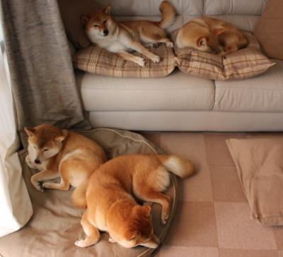 跨界传奇,当几内亚铁蹄踏平诺坎普,皮克在东决战场重铸荣光