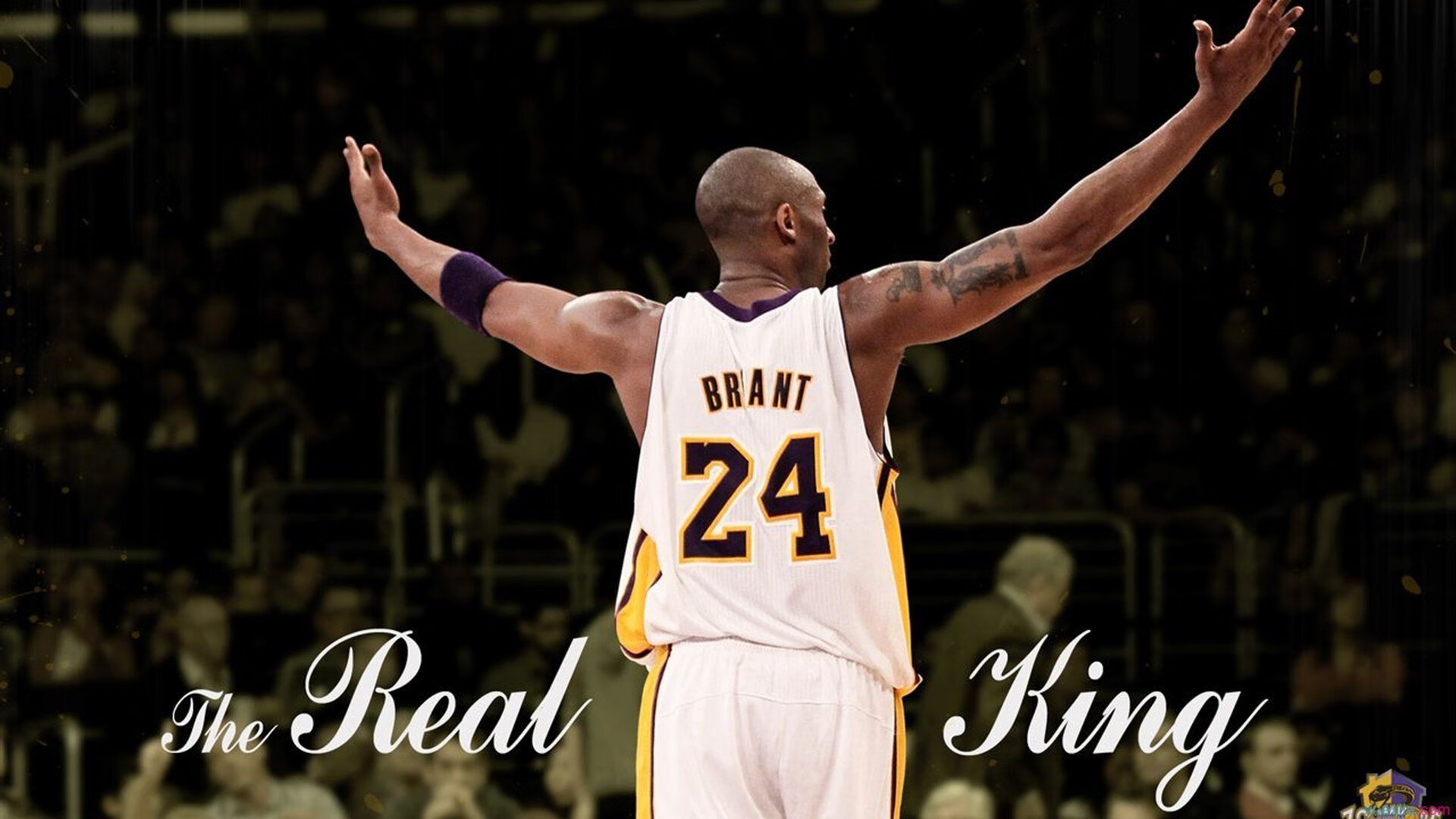 切特稳定输出不掉线，骑士正面击溃灰熊，团队韧性与战术执行的胜利